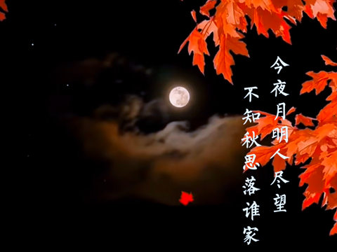 我走过玉门关外祁连山上飘的雪